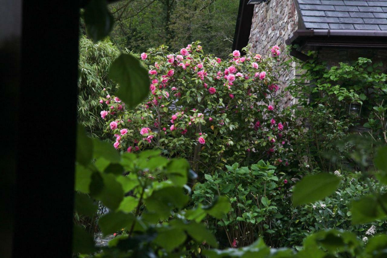 Ty Carreg Fach Staycation Cottage קארדיף מראה חיצוני תמונה
